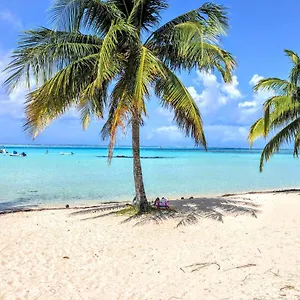 Hébergement de vacances Moorea - Tropical Soul, Hauru
